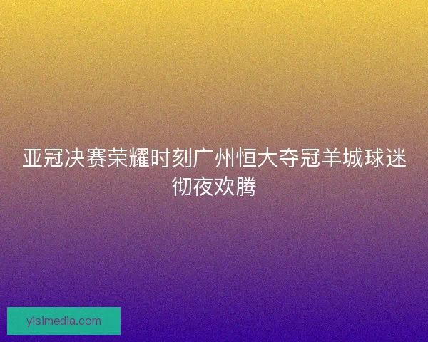 亚冠决赛荣耀时刻广州恒大夺冠羊城球迷彻夜欢腾