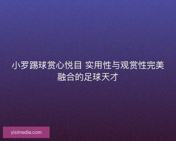 小罗踢球赏心悦目 实用性与观赏性完美融合的足球天才